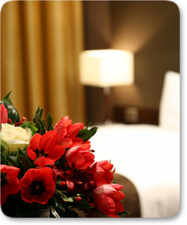 Noticias y eventos con presencia de ASEGO.