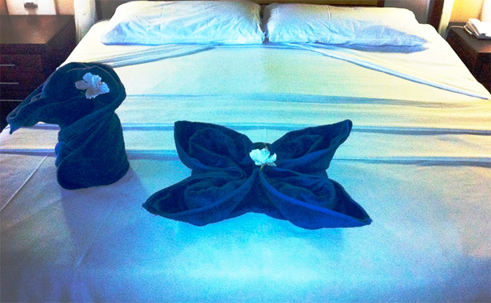 Eventos ASEGO