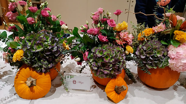 Eventos ASEGO