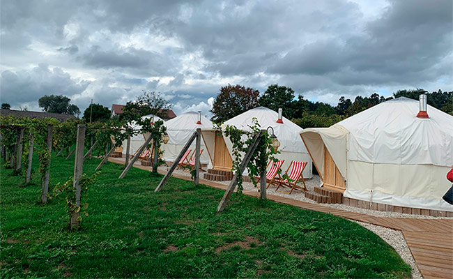 Eventos ASEGO